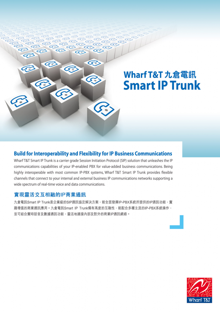 Leaflet_Smart_IPTrunk (2)-1